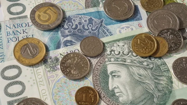 Ile PZW zarobiło w 2024 roku? SPRAWDŹ!