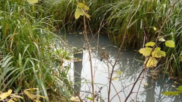 Zły stan wód w Polsce – alarm z NIK