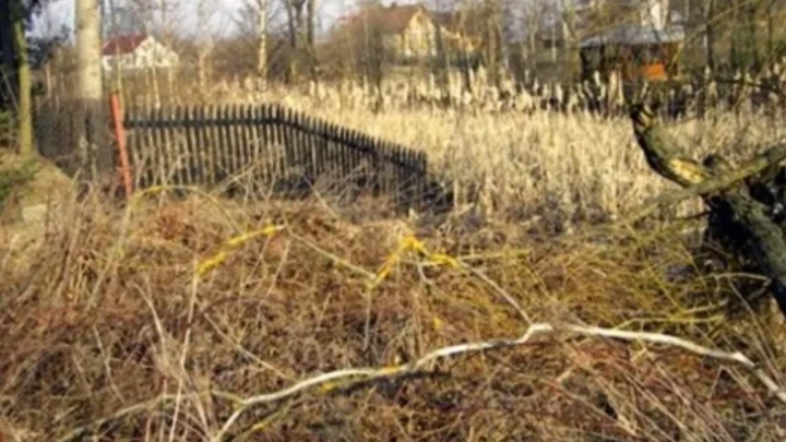 Publiczne jeziora dla wszystkich – nielegalne ogrodzenia pod lupą Wód Polskich