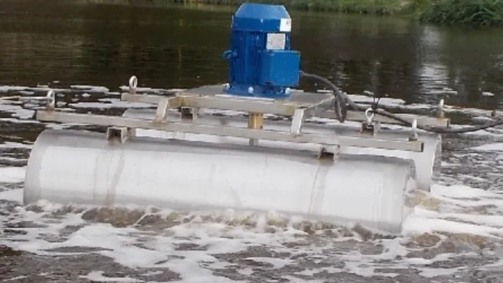 Śnięte ryby w rzece Elbląg