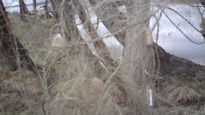 Zatrzymani na jeziorze – usiłowali kłusować